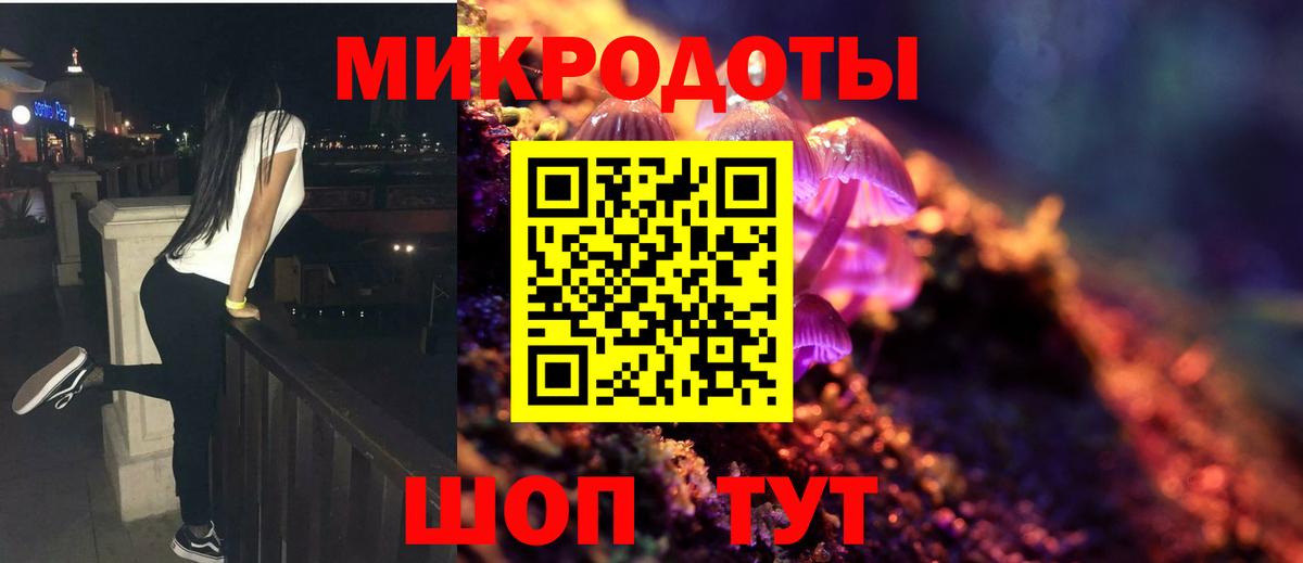 Галлюциногенные грибы Psilocybine cubensis  Вход с VPN  Санкт-Петербург 