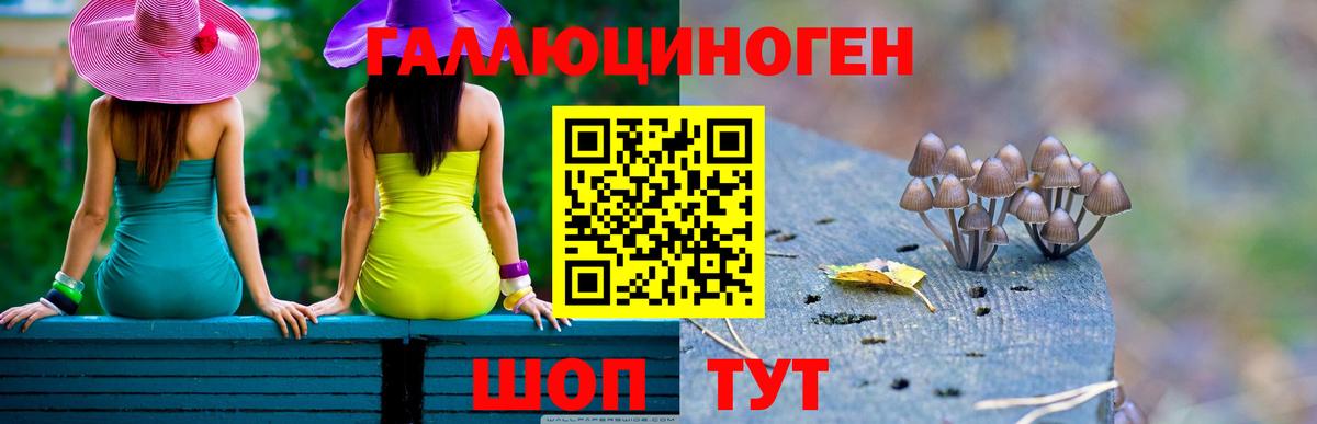 Псилоцибиновые грибы Psilocybine cubensis Санкт-Петербург
